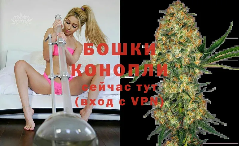 Каннабис OG Kush  наркотики  блэк спрут маркетплейс  Подпорожье 